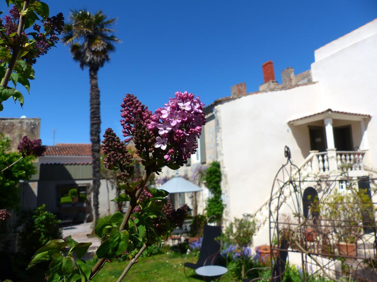 Saint-Martin-de-Ré La Maison Douce מראה חיצוני תמונה